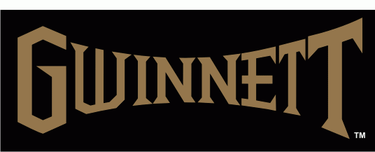 gwinnett gladiators 2003-pres wordmark logo iron on heat transfer